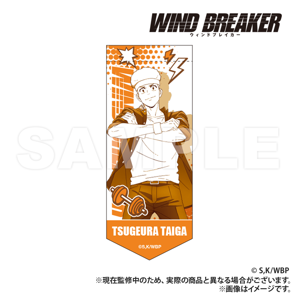 WIND BREAKER_Mini Garland Keychain - Taiga Tsugeura