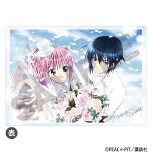 Shugo Chara!_แฟ้มใส - White