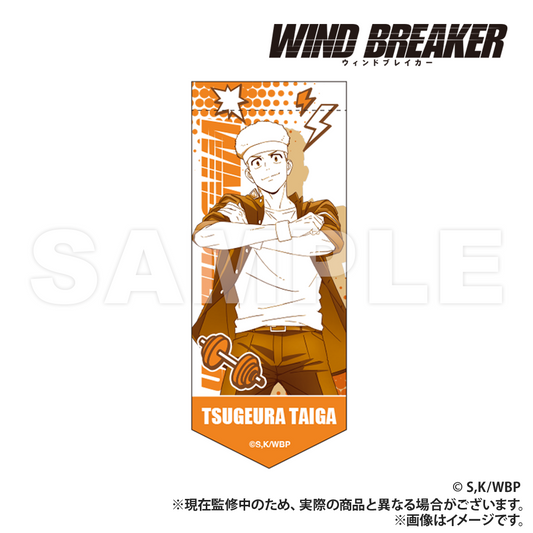 WIND BREAKER_Mini Garland Keychain  -  Taiga Tsugeura
