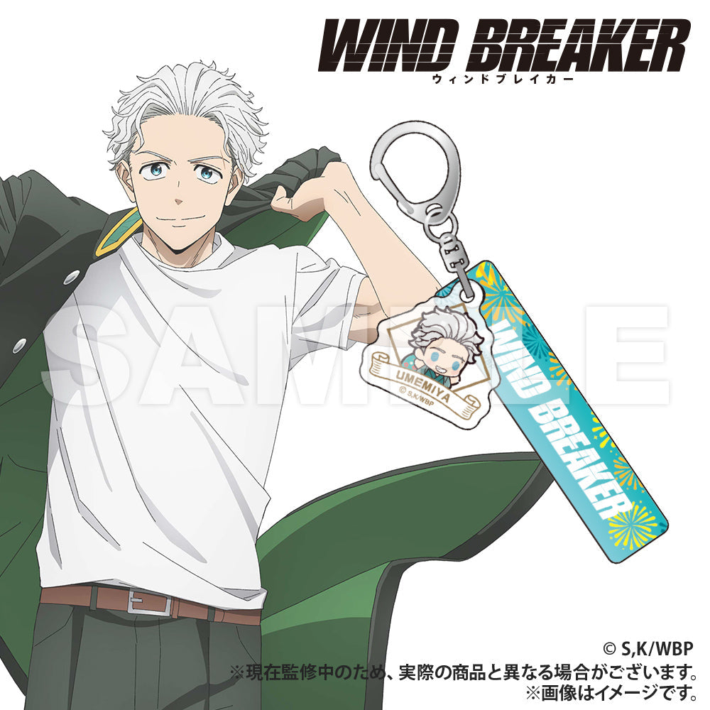 WIND BREAKER_Hotel Keychain (PUCHI KYUN Series)  -  Hajime Umemiya