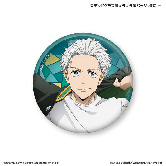WIND BREAKER_เข็มกลัดกลิตเตอร์  -  Hajime Umemiya