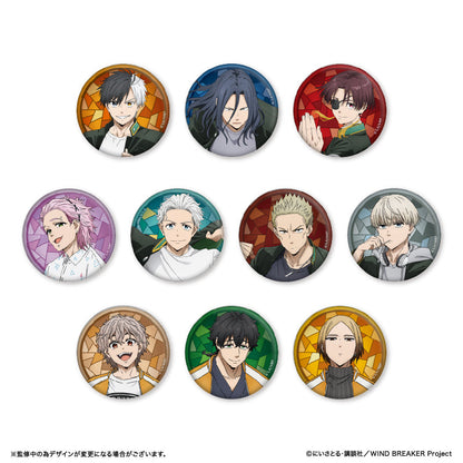 WIND BREAKER_เข็มกลัดกลิตเตอร์  -  Toma Hiiragi