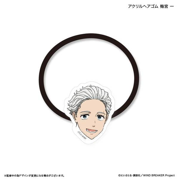 WIND BREAKER_Acrylic Hair Tie  -  Hajime Umemiya