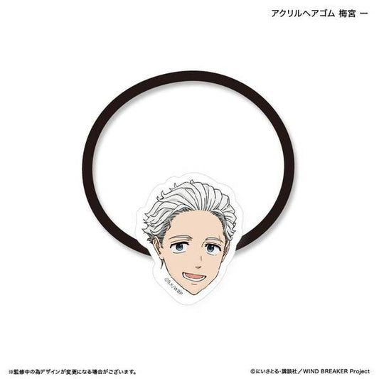 WIND BREAKER_Acrylic Hair Tie  -  Hajime Umemiya